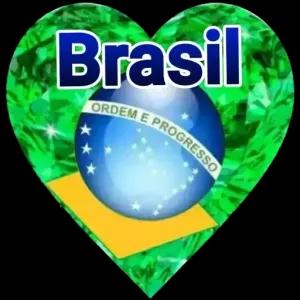 Brasil ORDEM E PROGRESSO  - getsticker.com