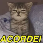 acordei 