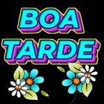 não não 
