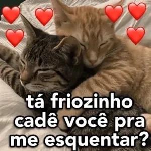 tá friozinho cadê você pra me esquentar? - getsticker.com