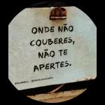 Dia dos professores