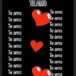 BORA Fazer Acontecer