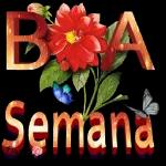 Bom Final de Semana!