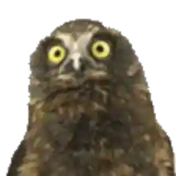paketim