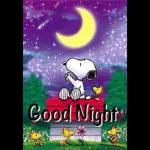 Good Night