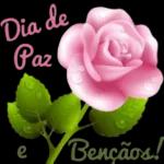 Bom dia 🌞