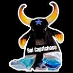 Boi Caprichoso