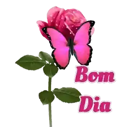 acorda