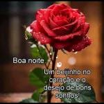 Bom dia!