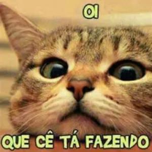 3bW4qJ