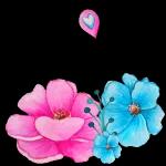 amor
