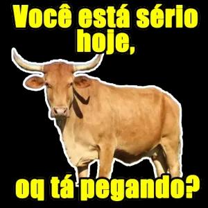 BRakss