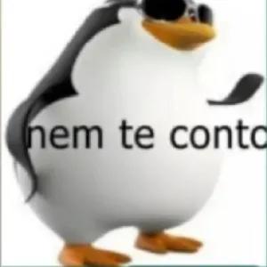ysFNcp