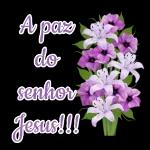 A paz do Senhor Jesus!!!
