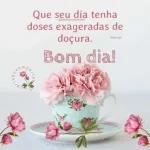 novos projetos 
