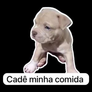 Cadê minha comida - getsticker.com