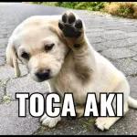 quem ?