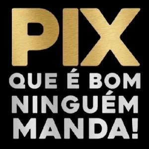 PIX QUE É BOM NINGUÉM MANDA! - getsticker.com