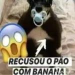 au au