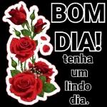 Bom dia