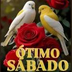 Feliz Domingo