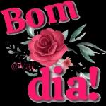 Bom diaa 