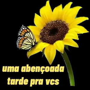 7aoIVd