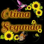segunda feira 