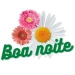 figurinha de boa noite