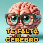 falsidade 