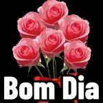 Bom Dia