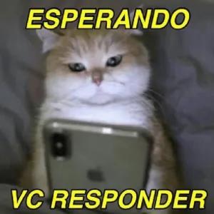 Esperando vc responder - getsticker.com