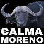 TETHEDAY POSITIVO