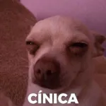 Te me calmas