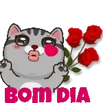 bom dia