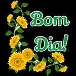 Bom
Dia!