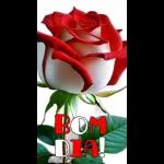 Bom dia