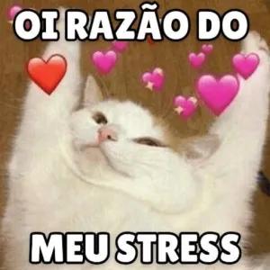 A razão do meu stress - getsticker.com