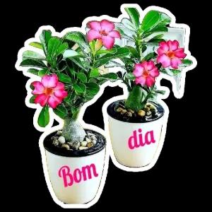 Bom dia - getsticker.com