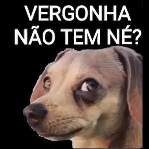 Vergonha não tem né? - getsticker.com