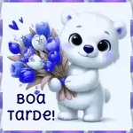 beija-flor 