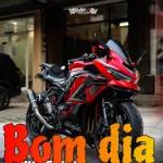moto moto