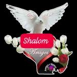 Shalom, Amigos e Nomes