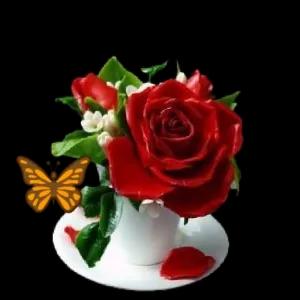 Bom Dia  - getsticker.com