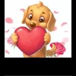 I love you
