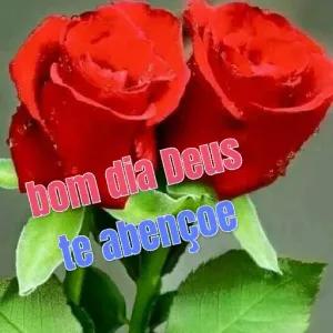 bom dia Deus te abençoe - getsticker.com