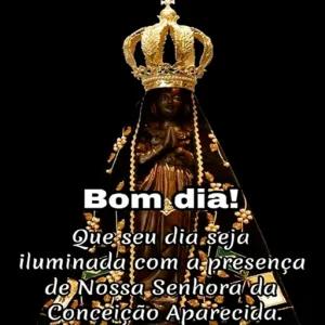Bom dia! Que seu dia seja iluminada com a presença de Nossa Senhora da Conceição Aparecida  - getsticker.com