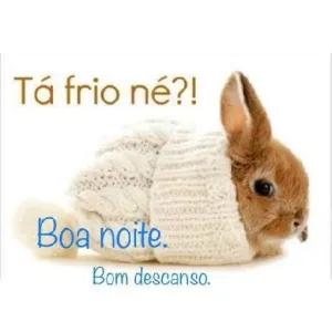 Tá frio né?! Boa noite. Bom descanso. - getsticker.com