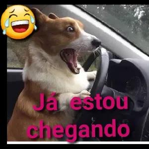 qxNPd4