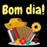 bom dia